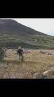 VID-20230830-WA0005.mp4