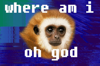 75437E8A-96E9-416D-8381-B3441EBBE4FB.gif
