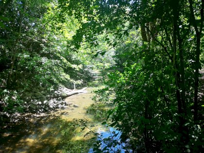IMG_20210815_131604.jpg