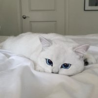 1508585207001.jpg