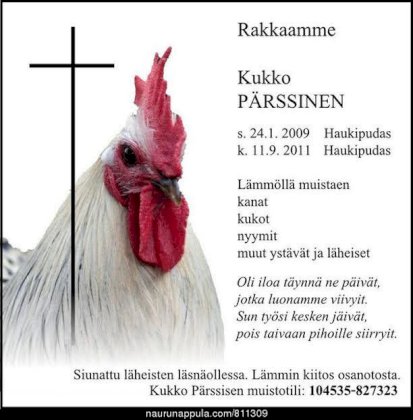 pärssinen2.jpg