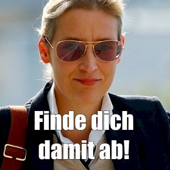 weidel finde dich damit ab.jpg