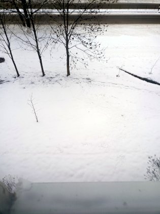IMG20221121162352.jpg