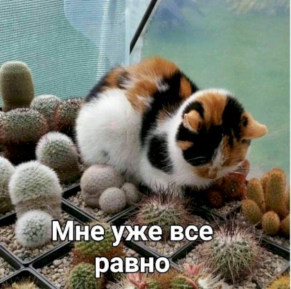 15904251236630.jpg