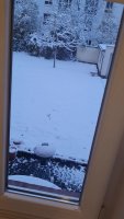 20220402_070650.mp4