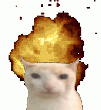 1644450895155.gif