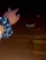 Minecraft 34.mp4