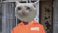 spurdo_schmuser.mp4