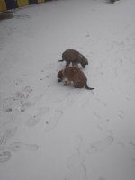 IMG_20200104_090721.jpg