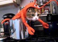 11F55192-93F0-4E22-A4E5-B4AF9923FDE8.jpeg
