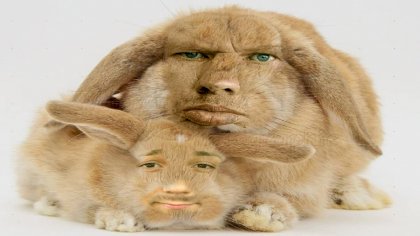 samara.jpg