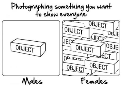sefsef.png