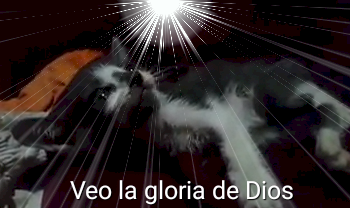 653def262914ea06c6e15dedf741cd1ba2cfcccd305e7fd6d0463f067b6b1599.png