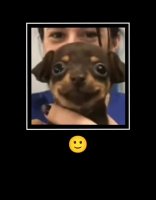 happy doggo.mp4