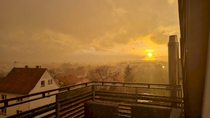 20210313_181005.jpg