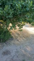 20200713_072216.jpg