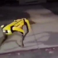 9ddfac5496805f8af49fcbedaa03813e.mp4