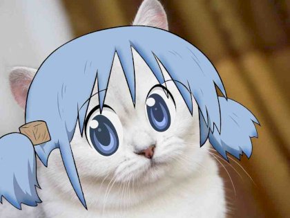 k0t.jpg
