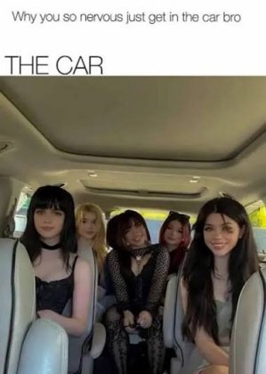 images (24).jpeg