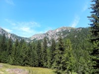 IMG_20200710_124305_9.jpg