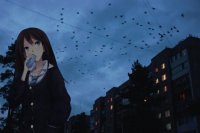 16364880957120.mp4