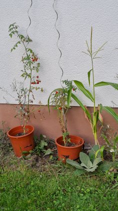 20210821_190050.jpg