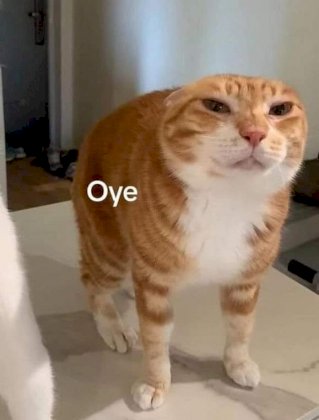 hey.jpg