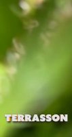 VID-20210722-WA0000.mp4