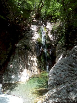 IMG_20210625_124357_4.jpg