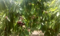 IMG_20201211_124429.jpg
