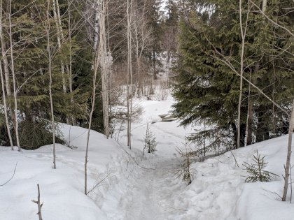 PXL_20220403_114432855.jpg