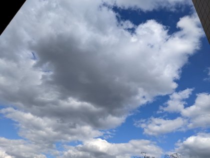 PXL_20220602_152614913.jpg