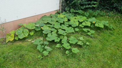 20210821_190046.jpg