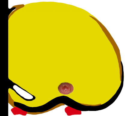 cloaca.png