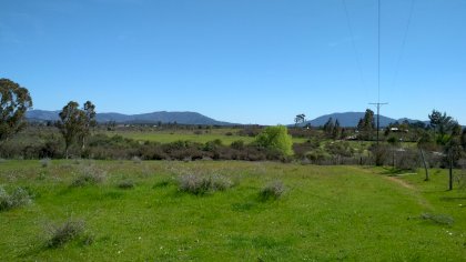 IMG_20200918_144243.jpg
