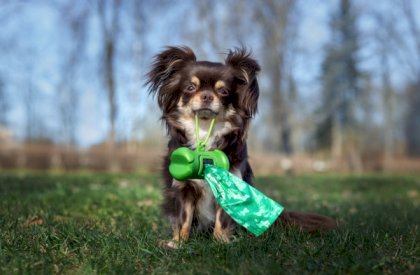 shutterstock_1398464066.jpg