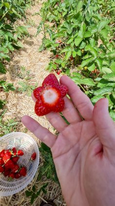 20220606_113822.jpg