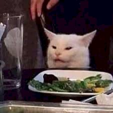 cat face.jpeg