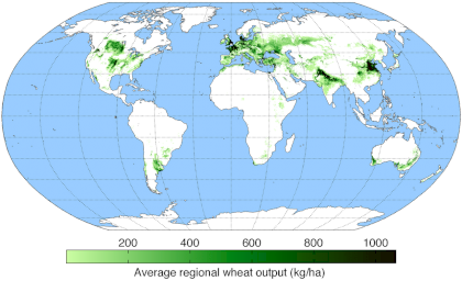 WheatYield.png