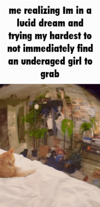 1651784254920.gif