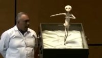 robert paulson.mp4