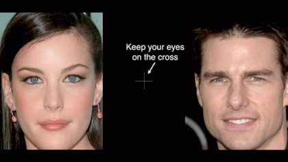 1523425242-631.gif