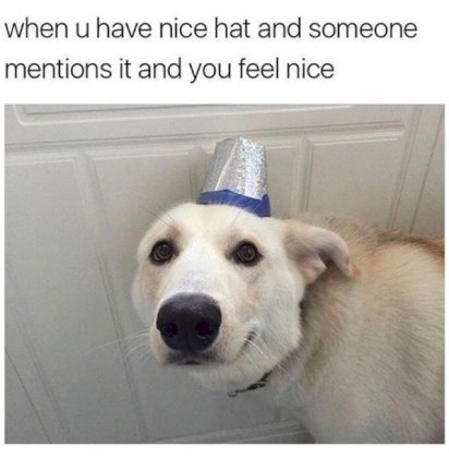 nice ha.jpg