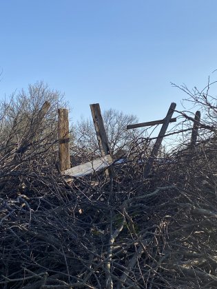 IMG_4442.jpeg