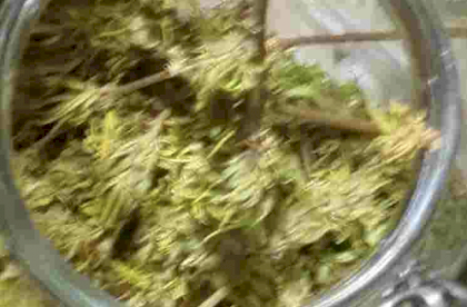 {6317E65C-3632-4352-B6C4-5136D6D93C10}.png