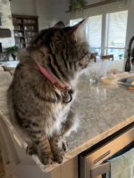 a5XyGON_460svvp9.webm