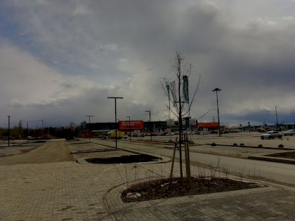 IMG_20230425_162212_284.jpg