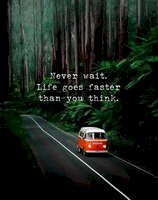 t_294722a6f7f0bdb20de1d38ab7dd41ce1c20a08d32ba001ab350bfe404336692.jpg
