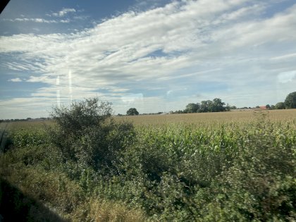 B7808B23-3F1D-4409-9F1F-B3D9835677BB.jpeg