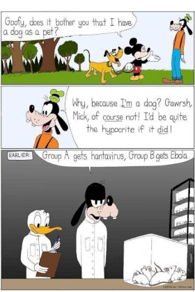 FB_IMG_1685270478823.jpg